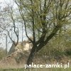 Dłużyce - Pałac