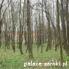 Mściwojów - Pałac