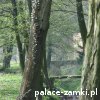 Zaborów - Pałac