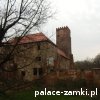 Prochowice - Zamek